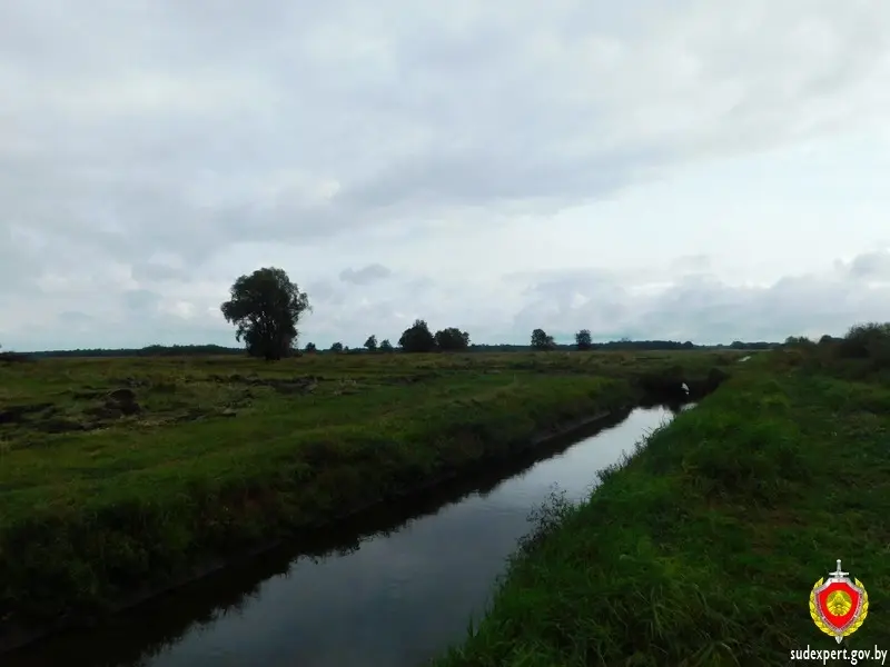 В конце сентября 2022 г. в Быховском районе в поле обнаружен труп 63-летнего быховчанина. Фото: ГКСЭ