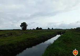 На Могилевщине погибли рыбак и грибник. Причина смерти – общее переохлаждение