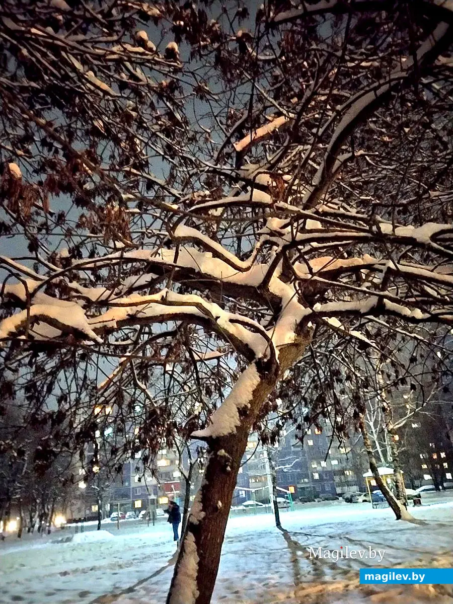 Фотопрогулка по вечернему городу. Могилев, 22.11.2022 г.