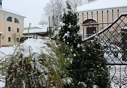Мокрый снег и возможен дождь: прогноз погоды на последние выходные ноября
