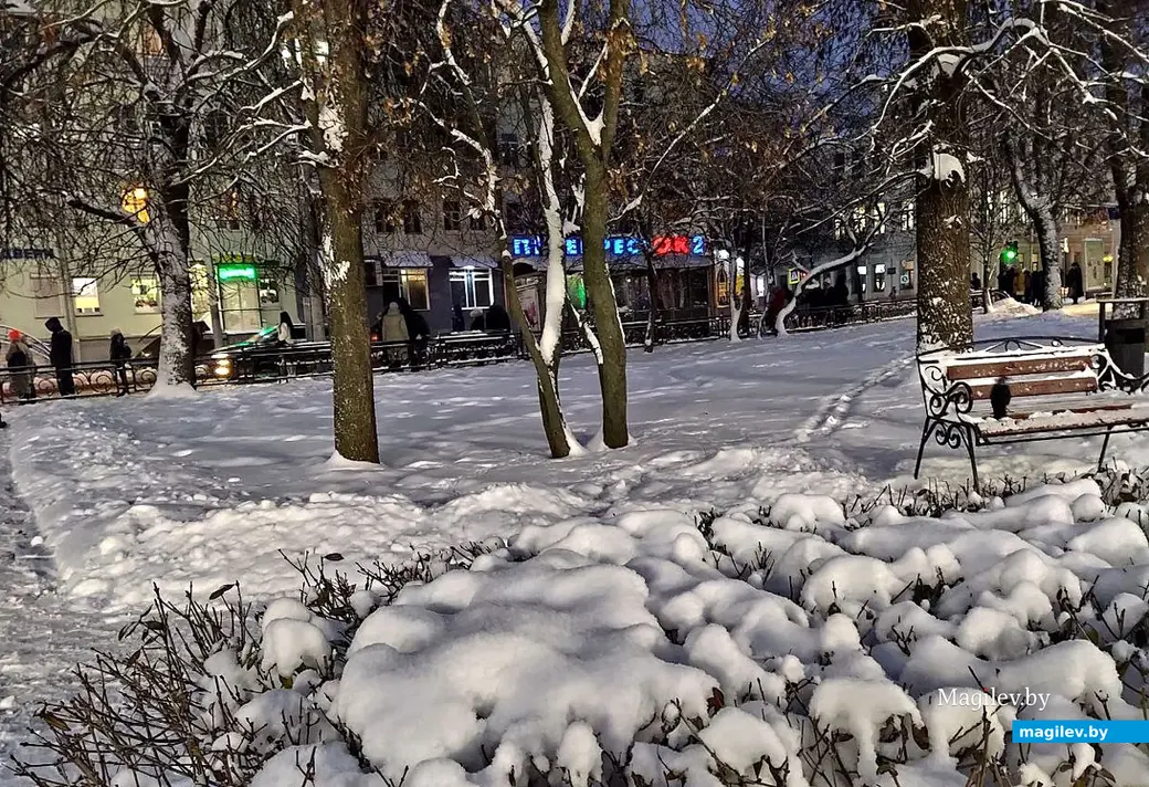 Фотопрогулка по вечернему городу. Могилев, 22.11.2022 г.