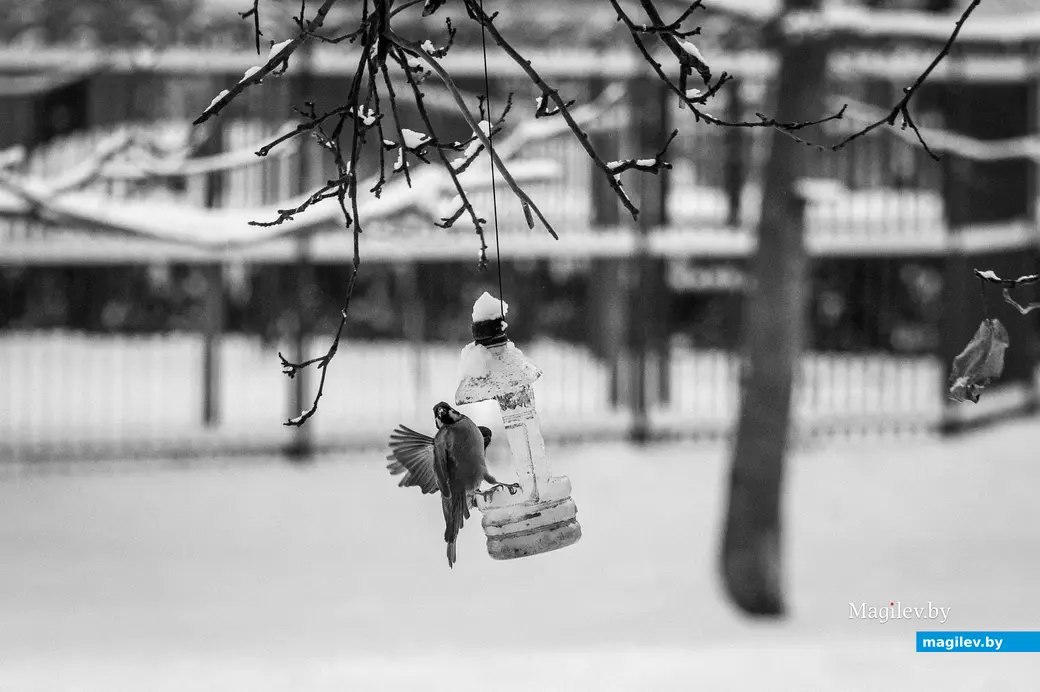 Фото: Александр ЧУГУЕВ, архив редакции.