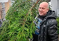 От 8 до 20 рублей: сколько будет стоить живая елка в Могилеве?