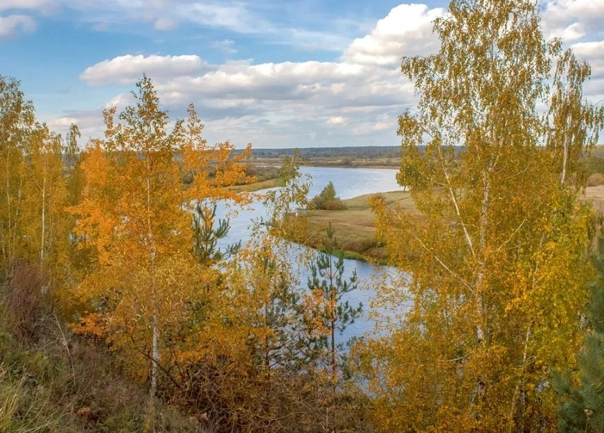 Воспоминания о прошедшей золотой осени. Фото: Юрий Куценко.