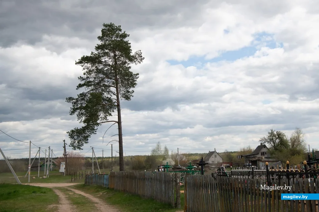 Старые кладбища Бобруйщины – безмолвные свидетели прошлого. Бояры, 22 апреля 2023 года.
