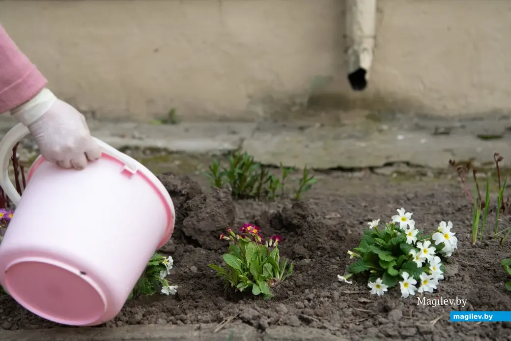 Апрель 2023 г. Фотопрогулка по Могилеву.