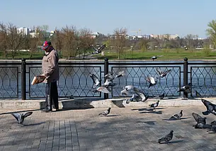 Что делать в длинные выходные? Любоваться видами Могилева