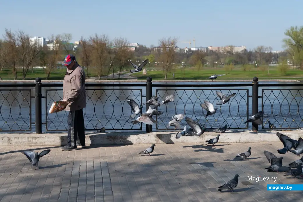 Апрель 2023 г. Фотопрогулка по Могилеву.
