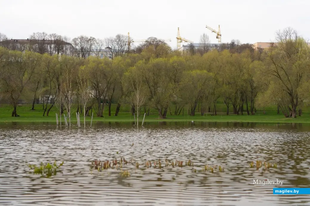 Апрель 2023 г. Фотопрогулка по Могилеву.