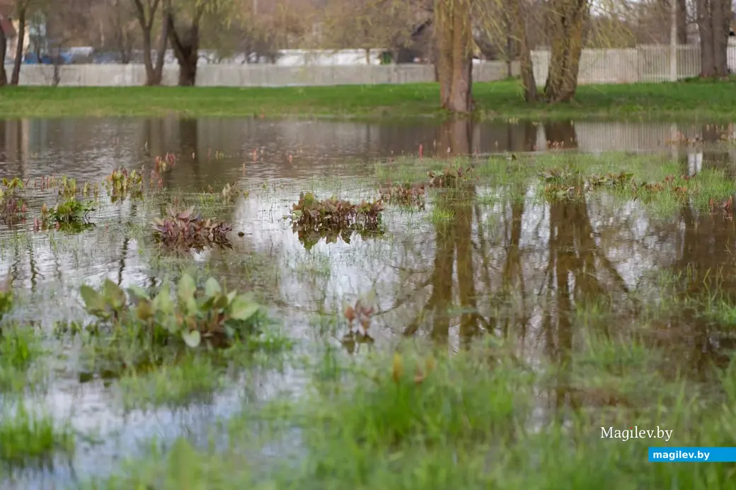 Апрель 2023 г. Фотопрогулка по Могилеву.