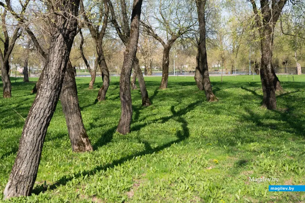 Апрель 2023 г. Фотопрогулка по Могилеву.