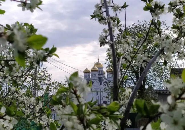 Цветущий Могилев. Прогулялись по частному сектору Заднепровья