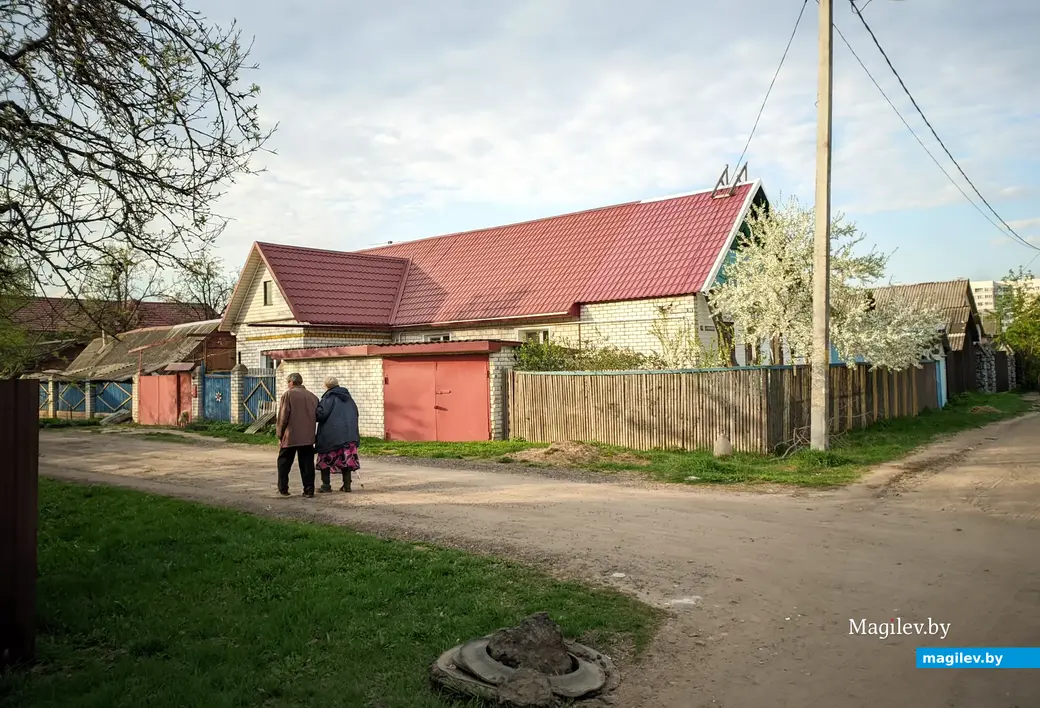 Цветущая весна на Луполовских улицах. Могилев, частный сектор в Заднепровье. 24 апреля 2023 года.