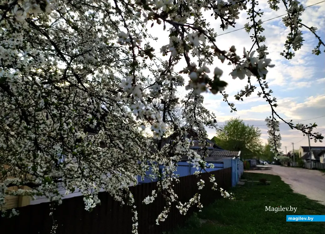 Улочки частного сектора в Заднепровье. Могилев, 24 апреля 2023 года.