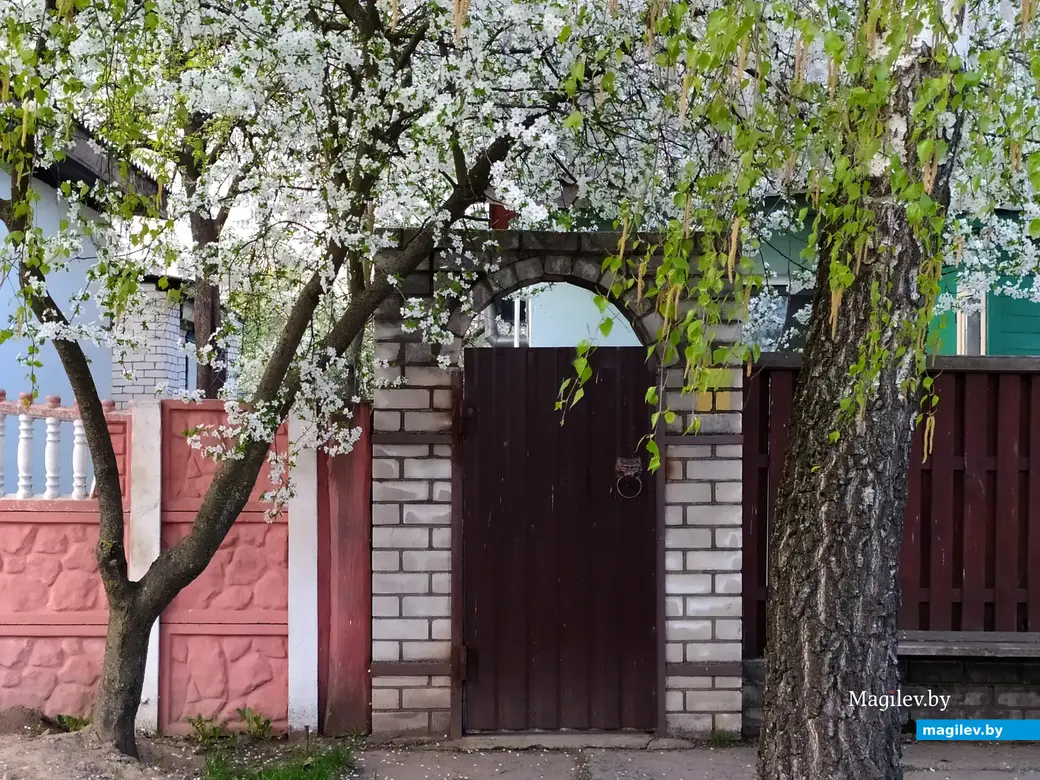 Весенняя нарядность. Могилев, частный сектор в Заднепровье. 24 апреля 2023 года.