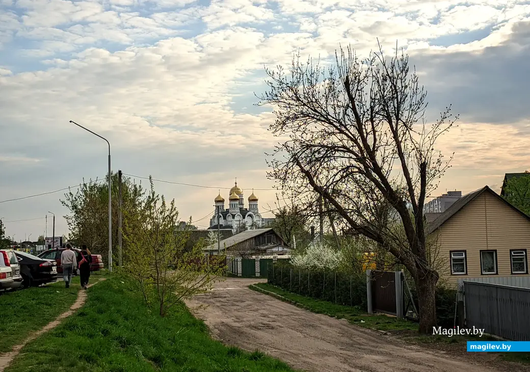 Вид на Спасо-Преображенский кафедральный собор Могилева. 24 апреля 2023 года.