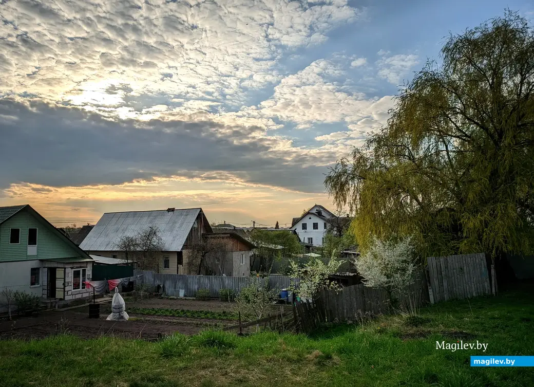 Весна в закатных лучах. Могилев, частный сектор в Заднепровье. 24 апреля 2023 года.