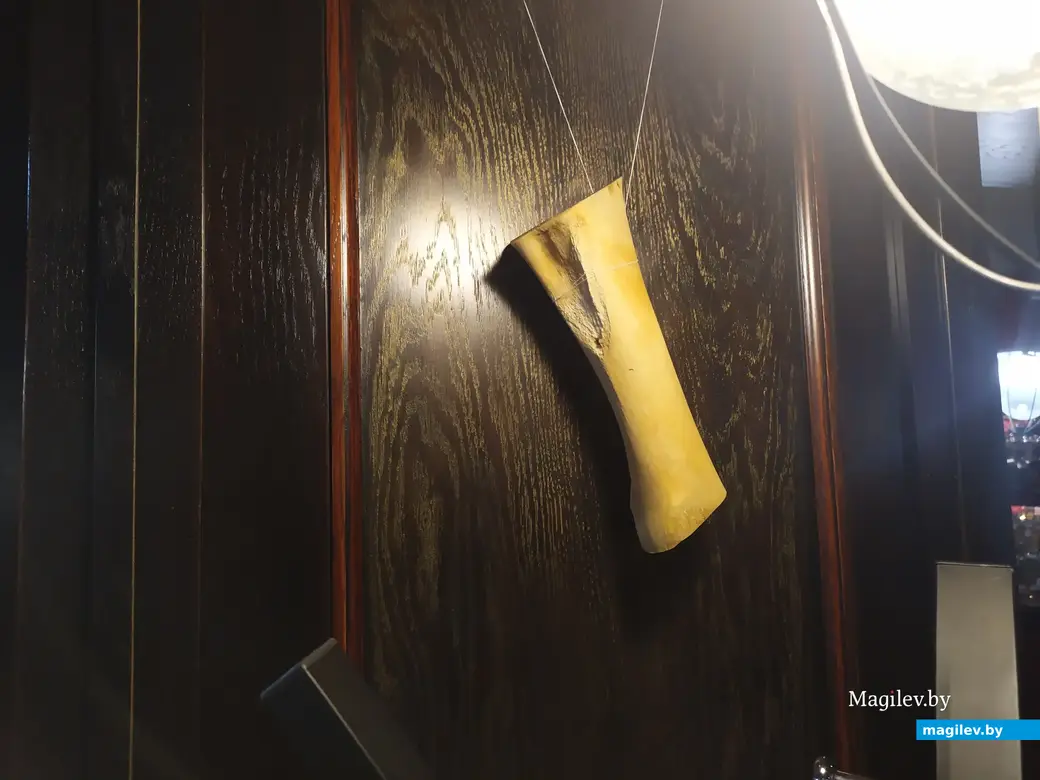 Кости возле светильников – очень своеобразное украшение, но атмосферу книги создает. Могилев, 24.04.2023.