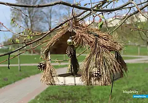 В Могилеве объявили конкурс по благоустройству парка Подниколье