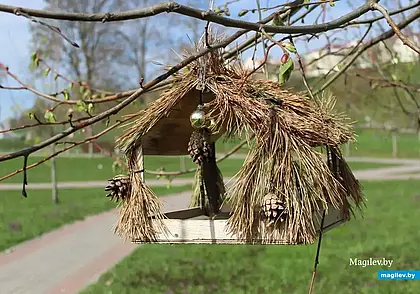 В Могилеве объявили конкурс по благоустройству парка Подниколье