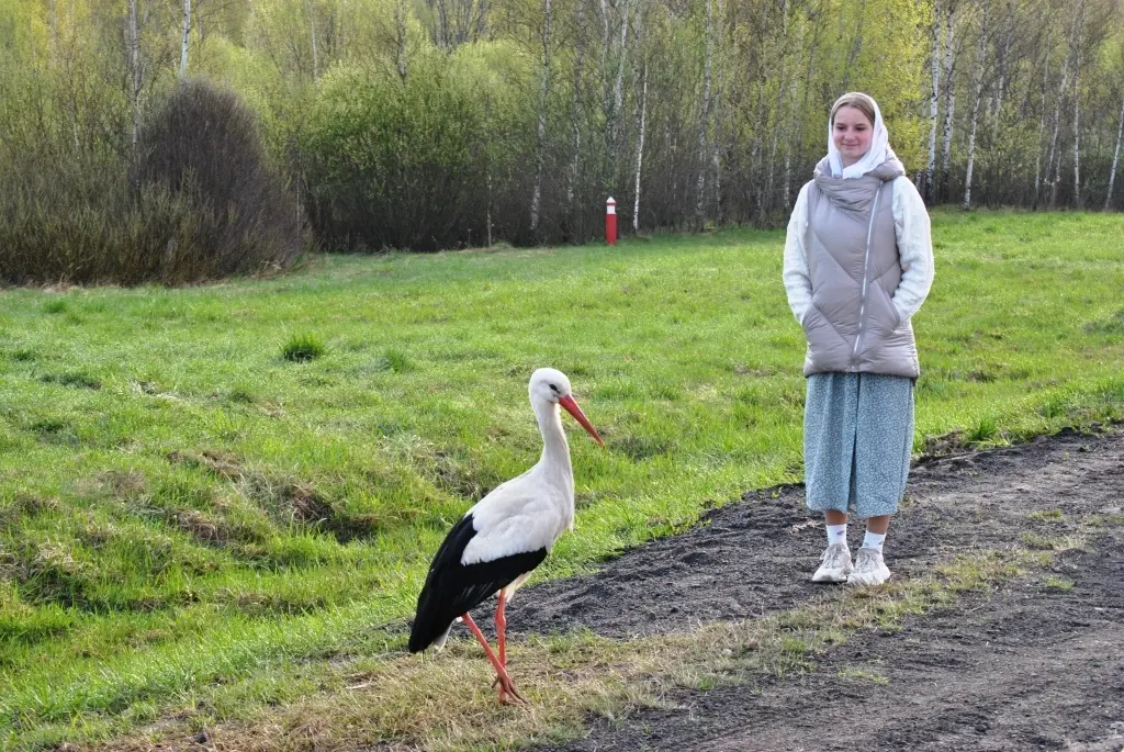 Крестный ход из Могилева в Белыничи 23-24 апреля 2023 г. Фото: mogeparhia.by