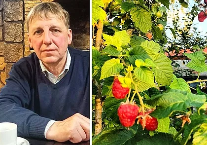 «В сезон на ягодах имею свою месячную зарплату»