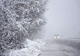 Последствия снегопада в Могилевской области: 476 населенных пунктов остались без света