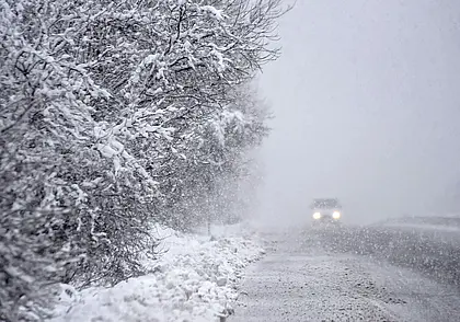 Последствия снегопада в Могилевской области: 476 населенных пунктов остались без света
