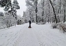Снежный Печерск. Фотозарисовка из лесопарка