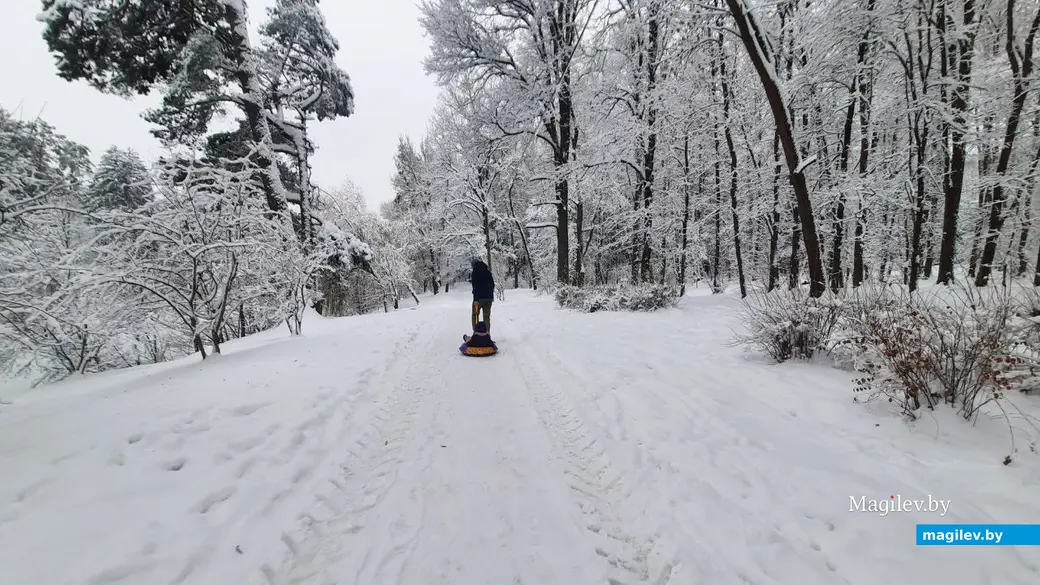 28.11.2022 г. Могилев, Печерский лесопарк