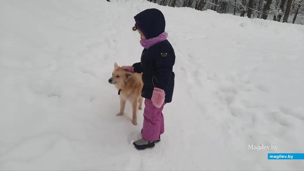 28.11.2022 г. Могилев, Печерский лесопарк