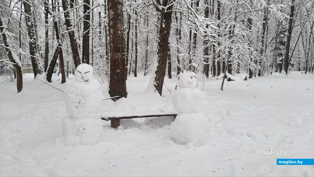 28.11.2022 г. Могилев, Печерский лесопарк