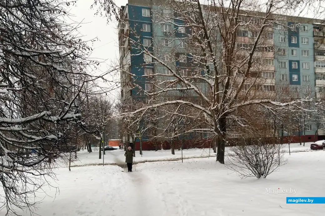 Бульвар Непокоренных. Могилев. 28 ноября 2022 года. Тротуары перехода через бульвар пока ждут своей очереди.