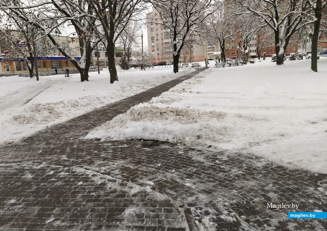 Пушкинский проспект. Могилев. 28 ноября 2022 года. Тротуар вполне пригоден для прогулок.