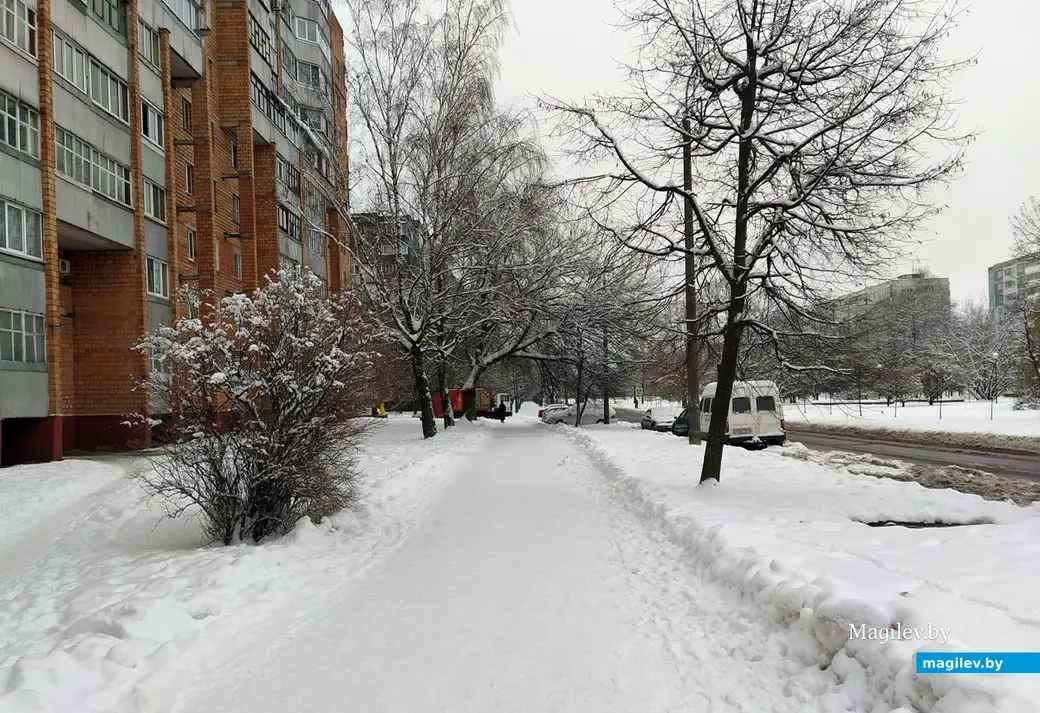 Бульвар Непокоренных. Могилев. 28 ноября 2022 года. Тротуар вполне пригоден для прогулок.