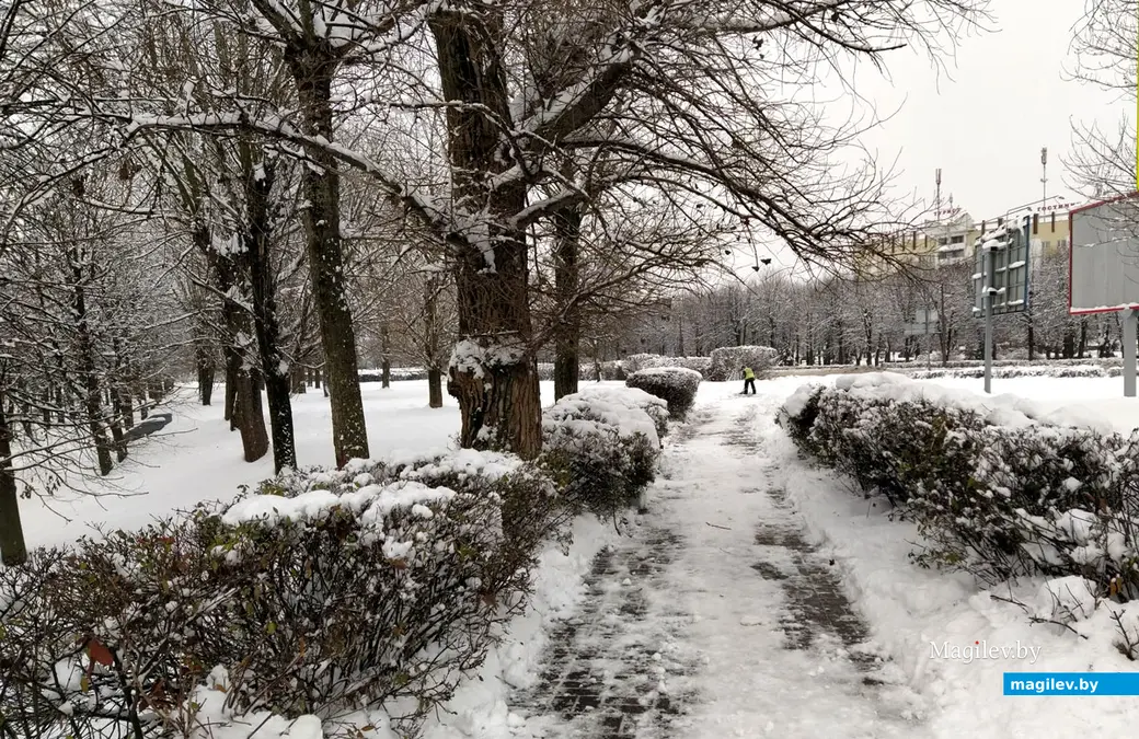 Пушкинский проспект. Могилев. 28 ноября 2022 года. Тротуар вполне пригоден для прогулок.