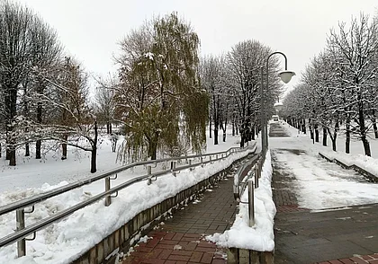 Ночные морозы до -14°С и гололедица ожидаются в Беларуси 1 декабря