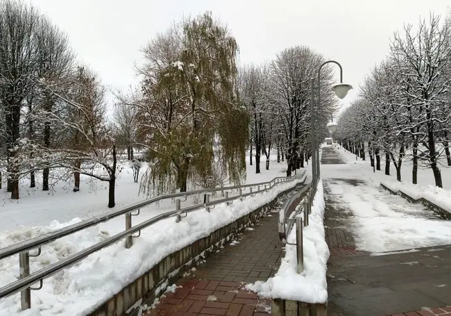 Ночные морозы до -14°С и гололедица ожидаются в Беларуси 1 декабря