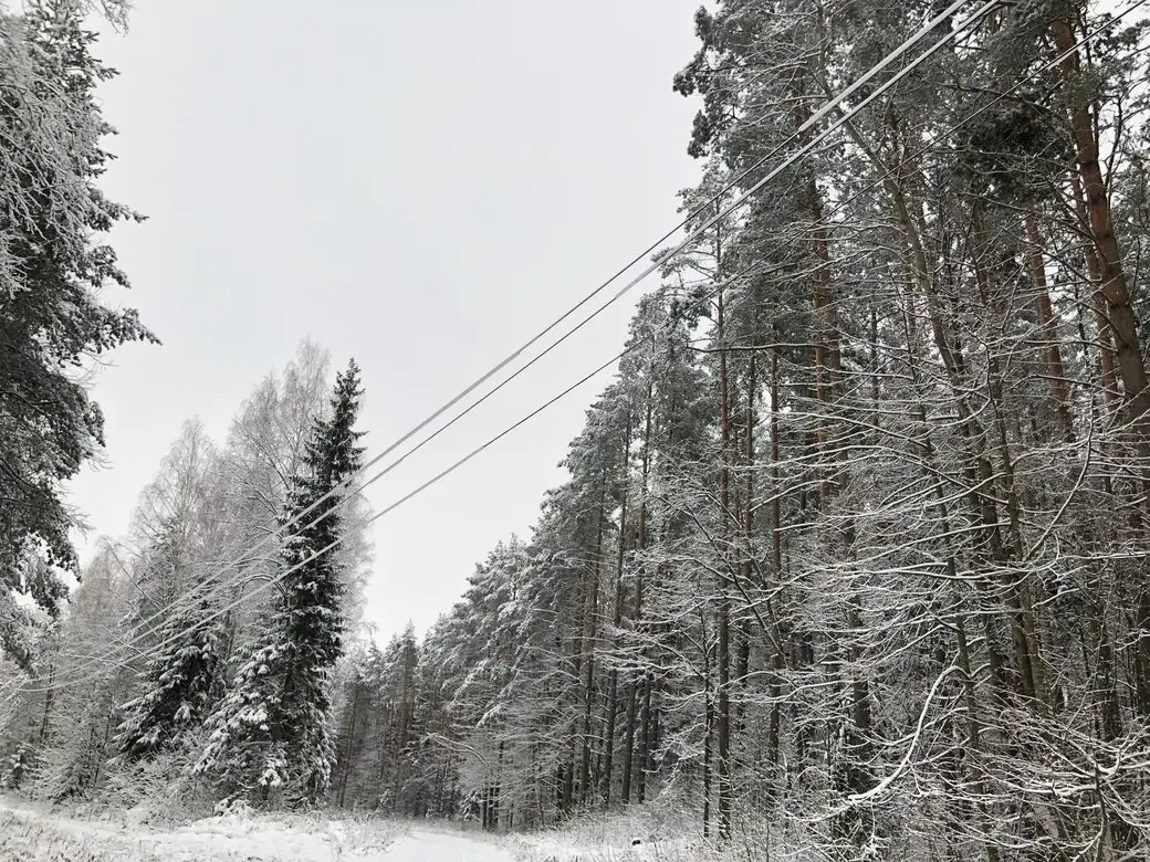 Фото: Белэнерго