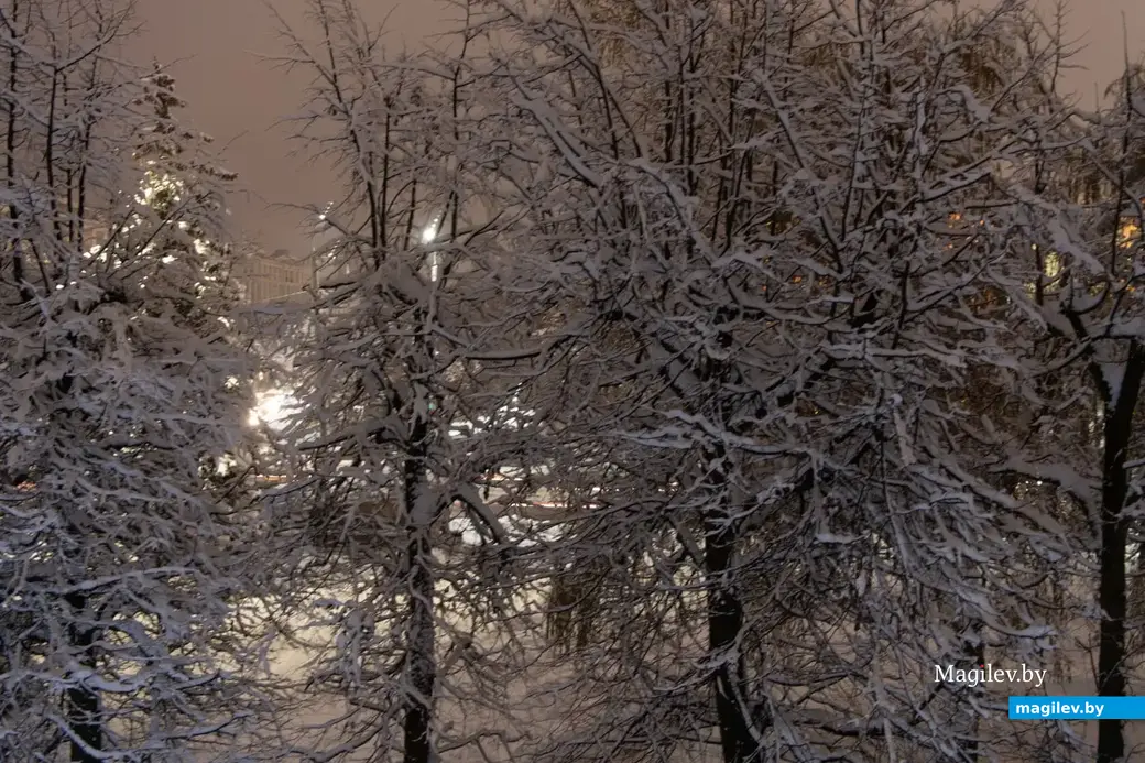 Ноябрь 2022 г. Могилев и могилевчане готовы к зиме - за ноябрь к снегу привыкли