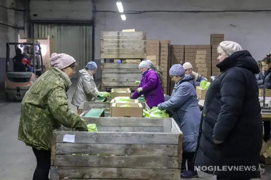 Мониторинг стабфондов. Фото: Mogilevnews.by