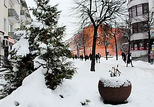 Топ-10 квартир на сутки в Могилеве стоимостью от 20 до 30 у.е.