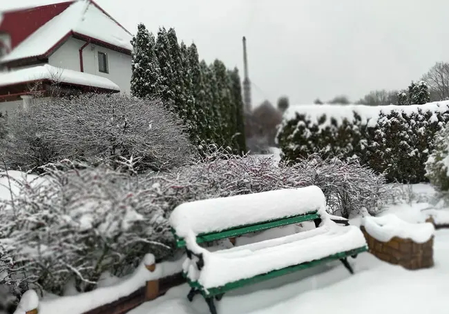 Зима в этнодеревне Буйнич Могилевского района. Фотохроника