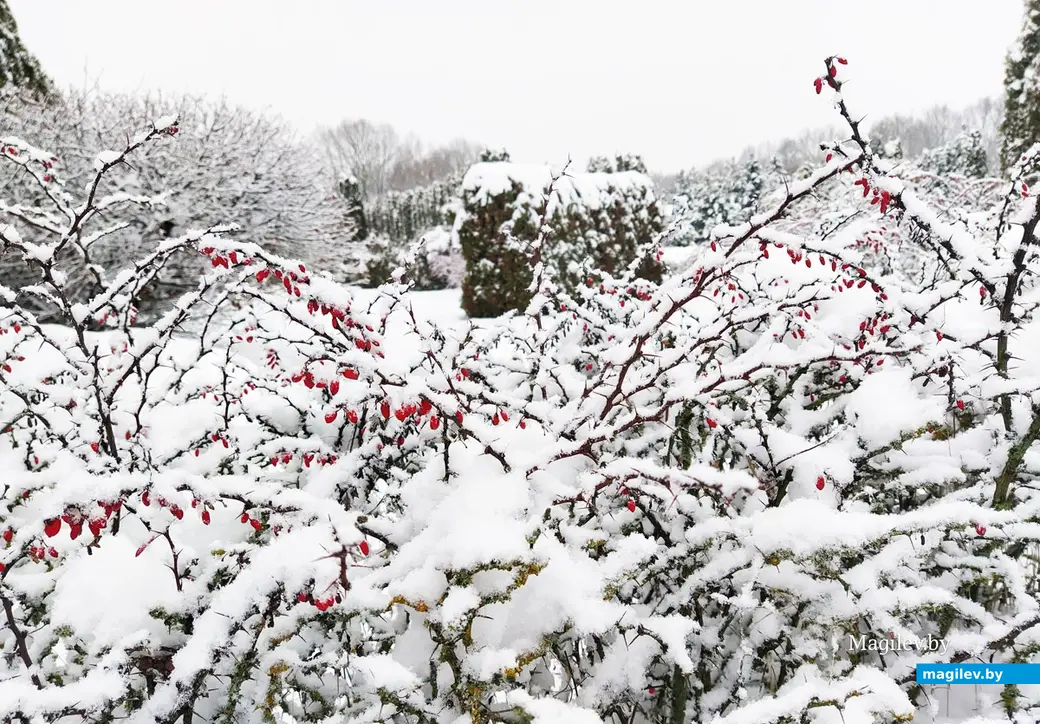 Туристско-развлекательный комплекс «Белорусская этнографическая деревня ХIХ века» в Буйничах Могилевского района. 26 ноября 2022 года.