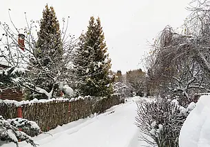 Снег, мокрый снег, дождь: прогноз погоды по Беларуси на 17-19 декабря