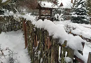 Опять метель. Прогноз погоды до конца недели – по 11 декабря