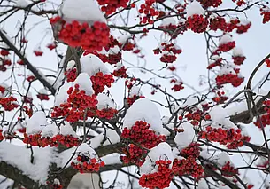 Со вторника начнется постепенное потепление: прогноз погоды на следующую неделю