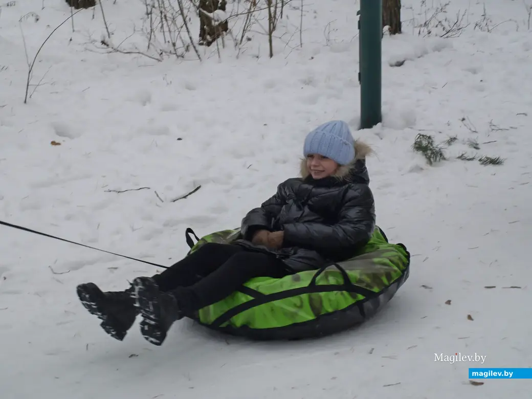 Могилев, Любужский лесопарк. 3.12.2022 г.