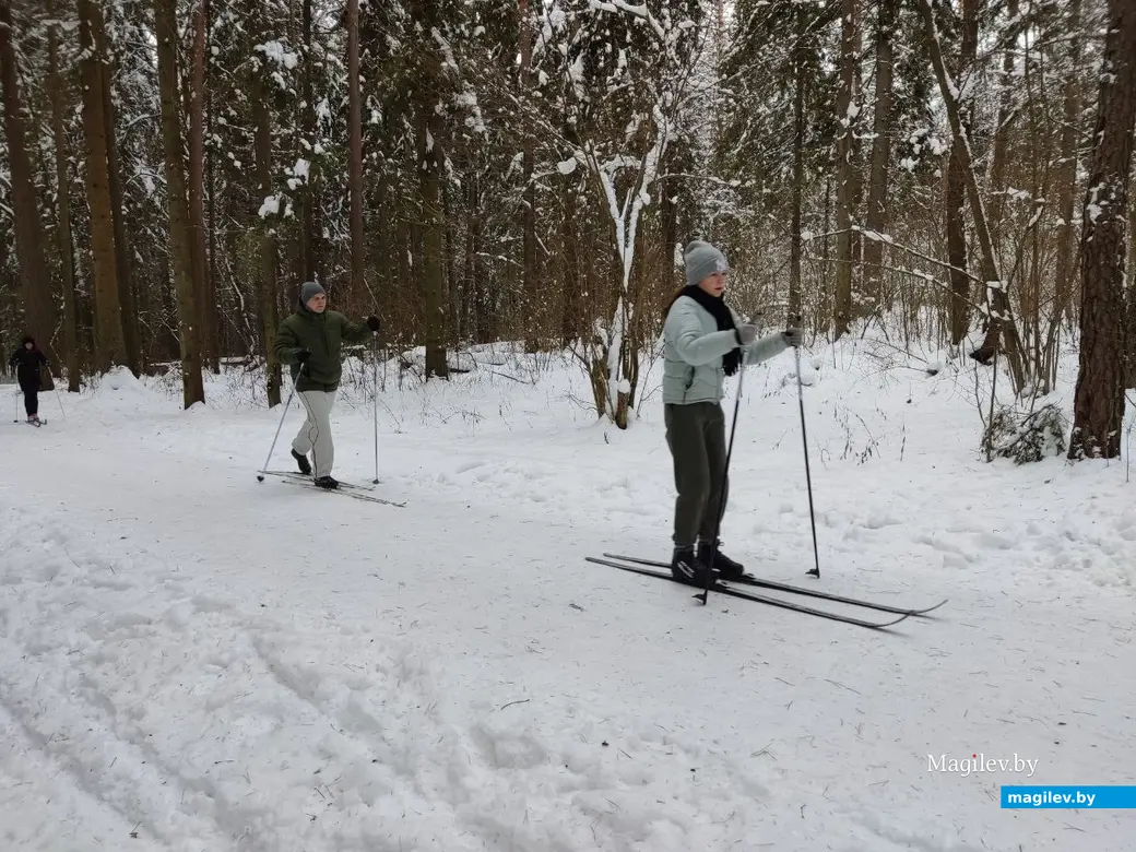 Могилев, Любужский лесопарк. 3.12.2022 г.