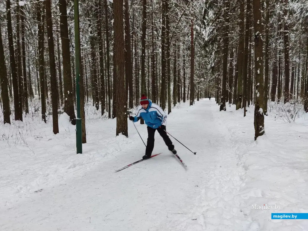 Могилев, Любужский лесопарк. 3.12.2022 г.